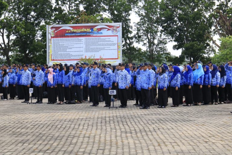 WhatsApp Image 2020-01-17 at 11.13.43