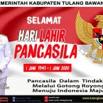 WhatsApp Image 2020-06-01 at 11.51.07