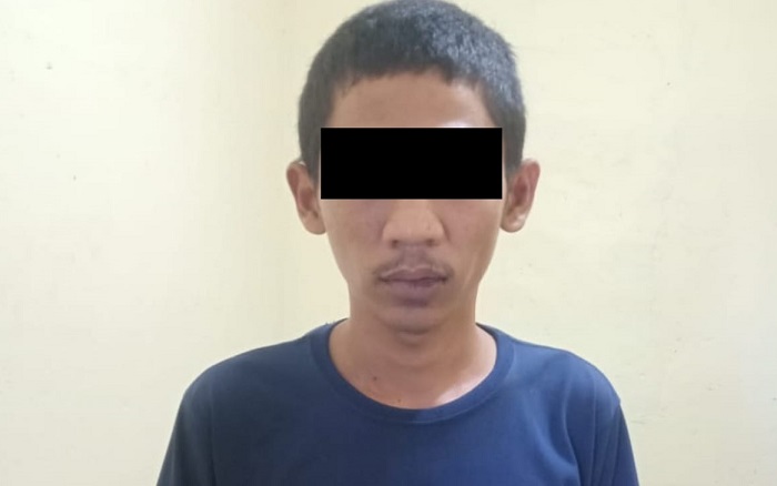 WhatsApp Image 2020-06-02 at 12.58.07