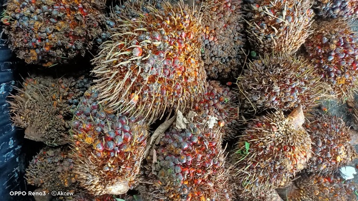 WhatsApp Image 2020-06-16 at 16.10.23