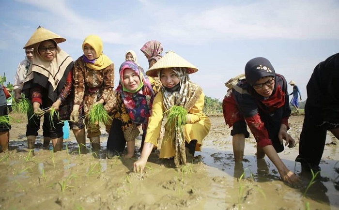 WhatsApp Image 2020-06-20 at 17.34.10 (2)