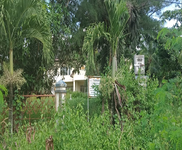 WhatsApp Image 2020-06-29 at 19.43.38