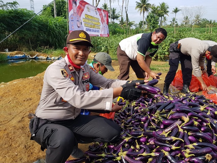 WhatsApp Image 2020-07-15 at 3.38.45 PM