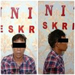 WhatsApp Image 2020-07-23 at 9.06.46 PM