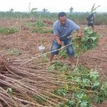 WhatsApp Image 2020-08-02 at 10.07.15 PM