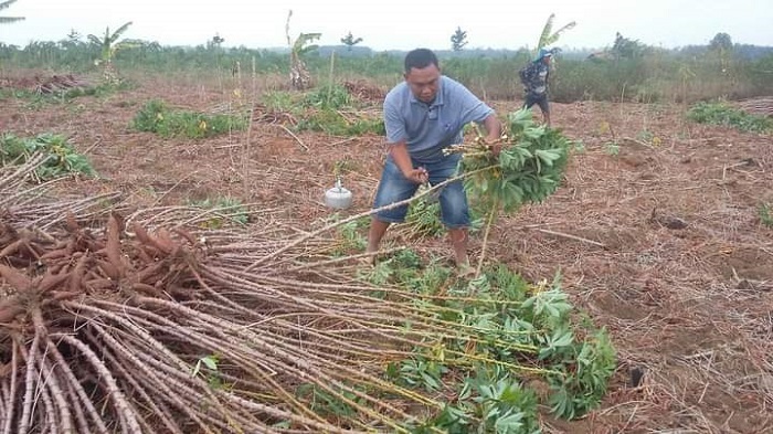 WhatsApp Image 2020-08-02 at 10.07.15 PM