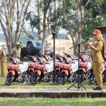 WhatsApp Image 2020-08-11 at 1.08.59 PM