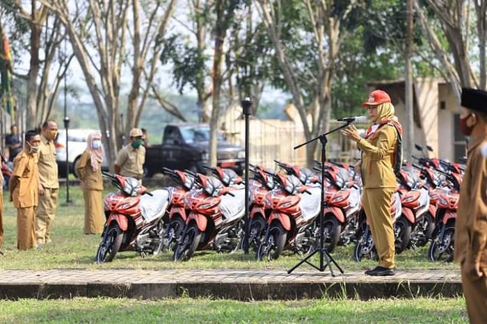 WhatsApp Image 2020-08-11 at 1.08.59 PM