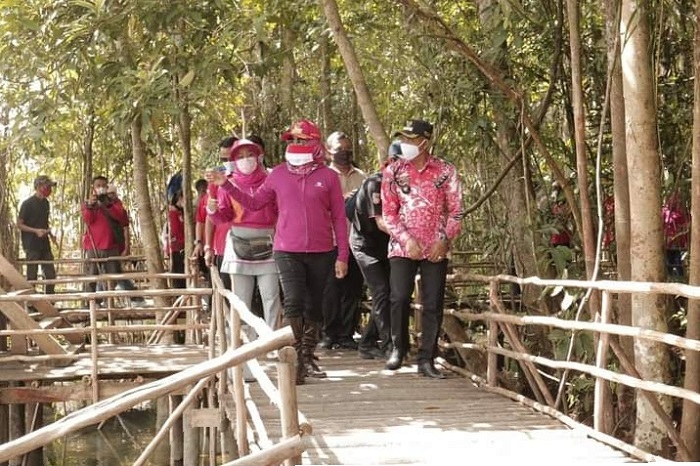 WhatsApp Image 2020-11-20 at 10.00.37 PM