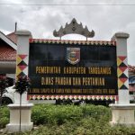 WhatsApp Image 2020-11-30 at 7.12.27 PM