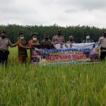 WhatsApp Image 2021-02-17 at 1.51.55 PM