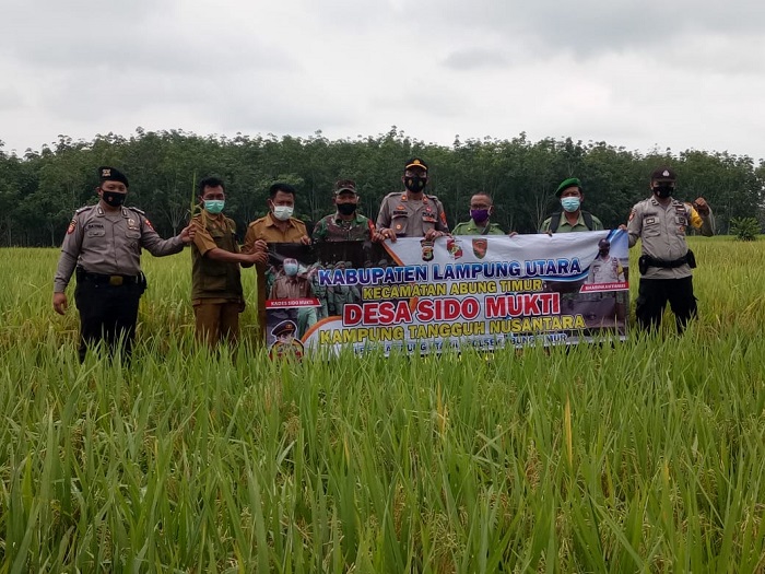 WhatsApp Image 2021-02-17 at 1.51.55 PM