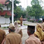 WhatsApp Image 2021-06-21 at 10.30.43