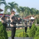 WhatsApp Image 2021-06-28 at 12.46.06