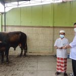 WhatsApp Image 2021-07-19 at 20.05.11