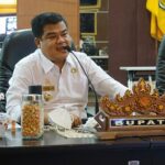 WhatsApp Image 2021-07-28 at 16.02.03 (1)