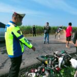 WhatsApp Image 2022-01-19 at 15.53.03 (1)